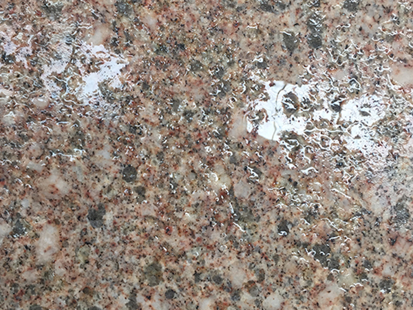 �����Z����